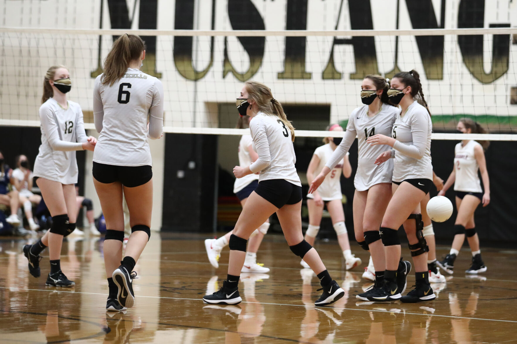 040721-cdp-sports-prepvolleyball793.JPG